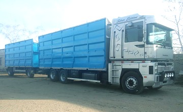 ������ ������ ����